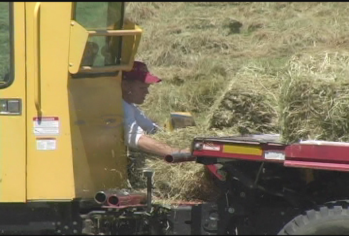 Thumbnail image for Rainy Day 2013