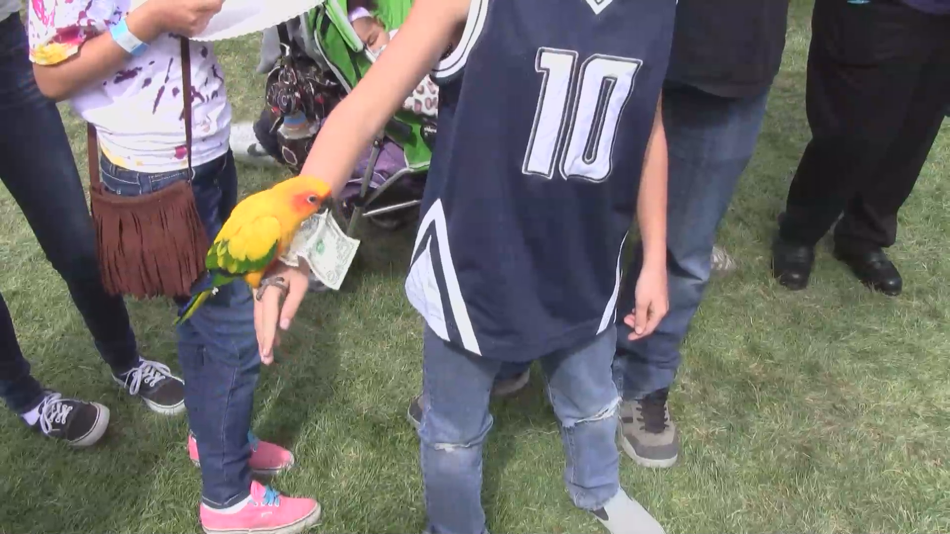 Thumbnail image for Parrots at the Fair 2014