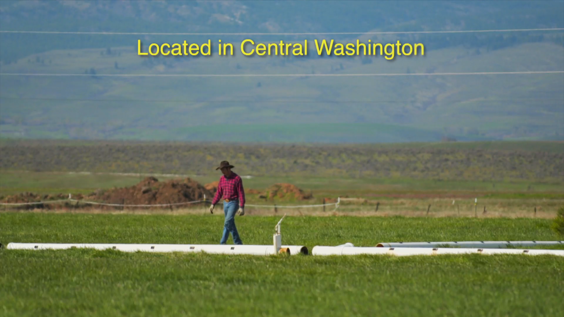 Thumbnail image for MyEllensburg Spot 2
