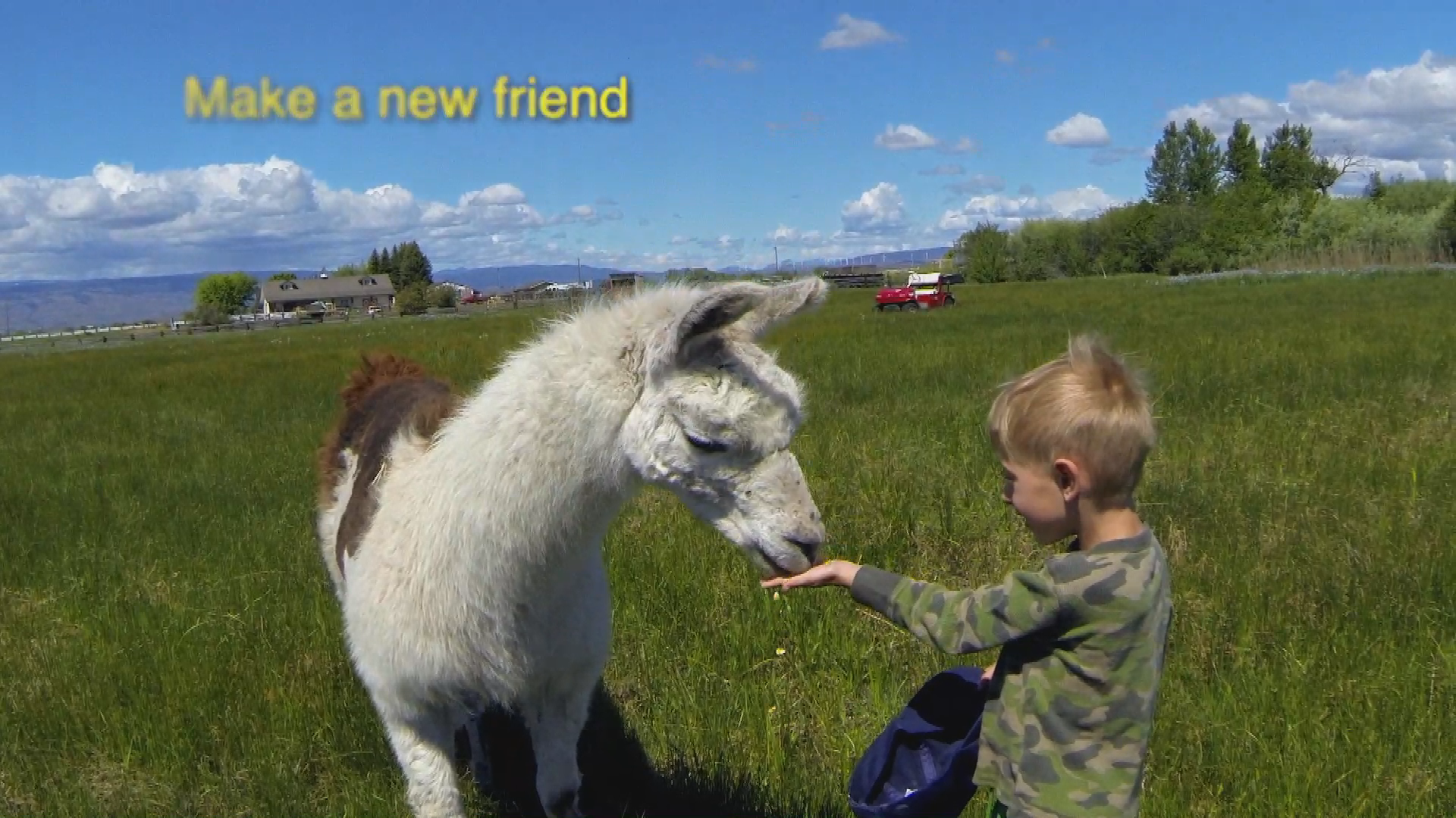 Thumbnail image for MyEllensburg - Animals